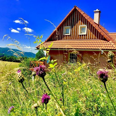 Kopanicky Dvor ξενώνας Hodruša Εξωτερικό φωτογραφία